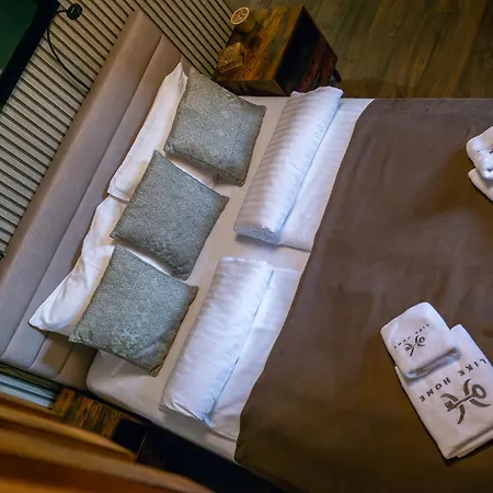 Like 2 Sauna,jacuzzi & Apartament *